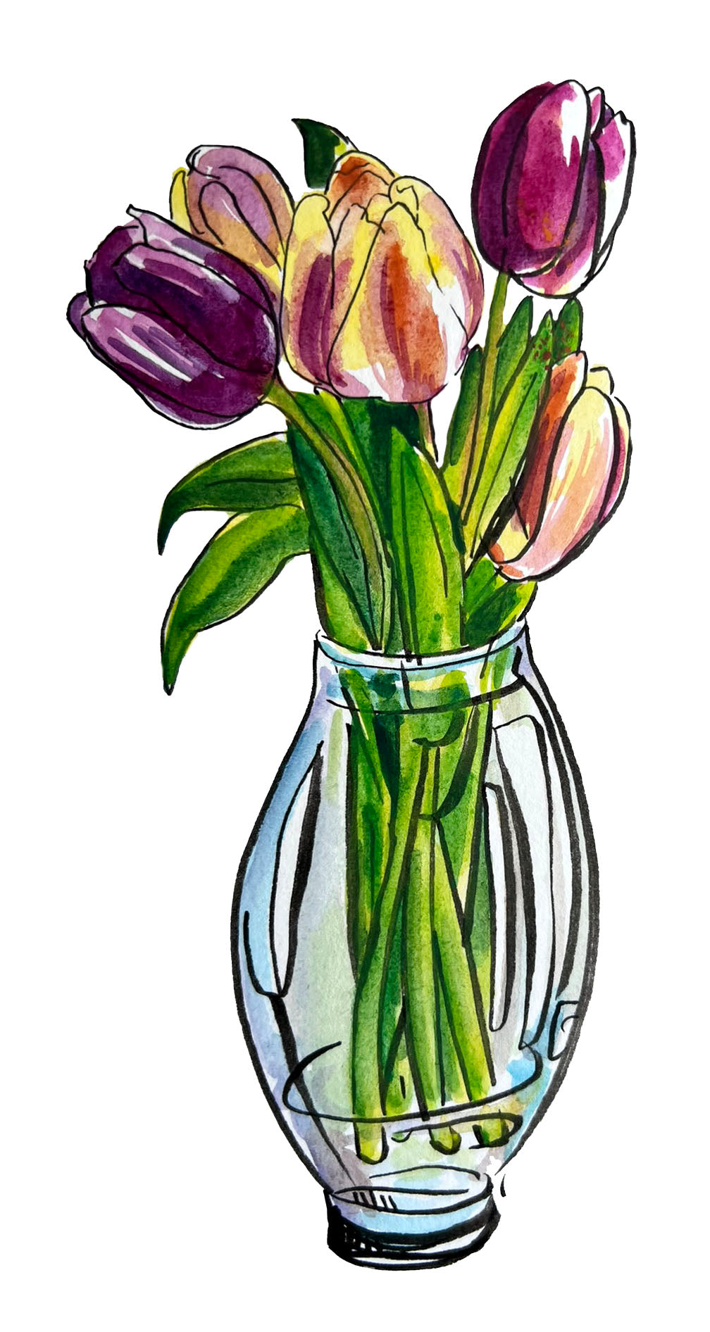 Watercolor-style illustration of a bouquet of tulips in a clear glass vase on a white background.